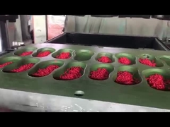 Yüksek Kaliteli EVA Malzemesi Renkli Granül Pellet Ayakkabı Yapımı